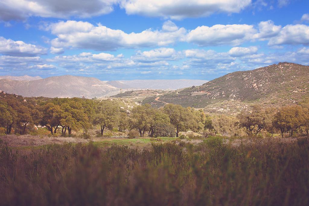 Hotel Boutique Rancho Tecate Buitenkant foto